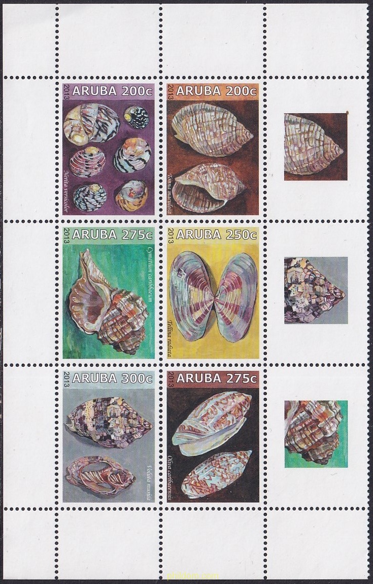 CONCHAS
