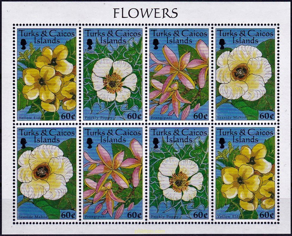 FLORES