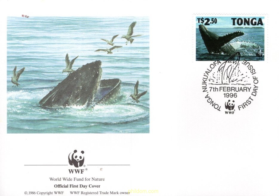 BALLENA JOROBADA