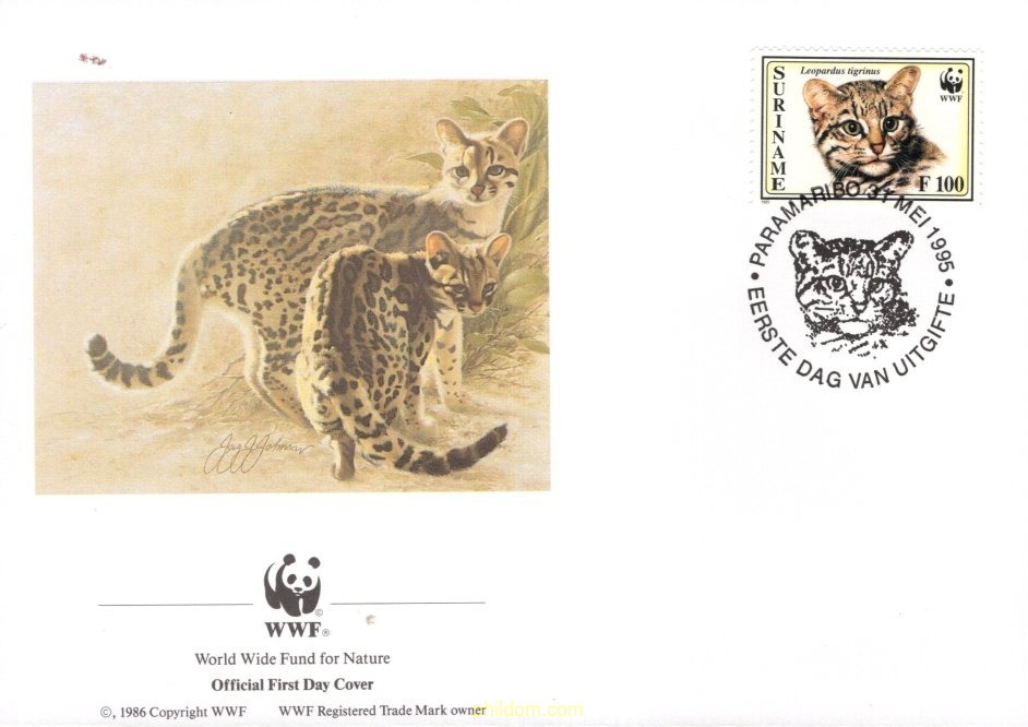 YAGUARUNDI, GATO TIGRE