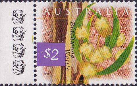 FAUNA Y FLORA