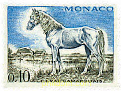 CABALLOS DE RAZA