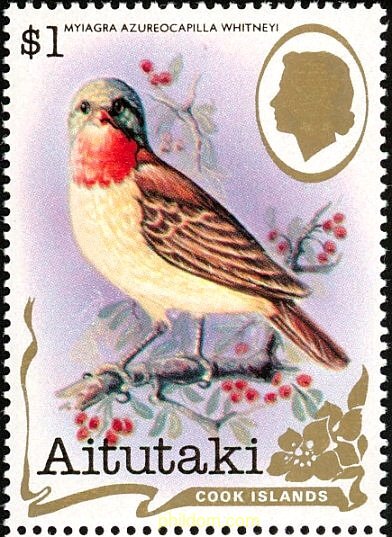 PAJAROS DEL PACIFICO