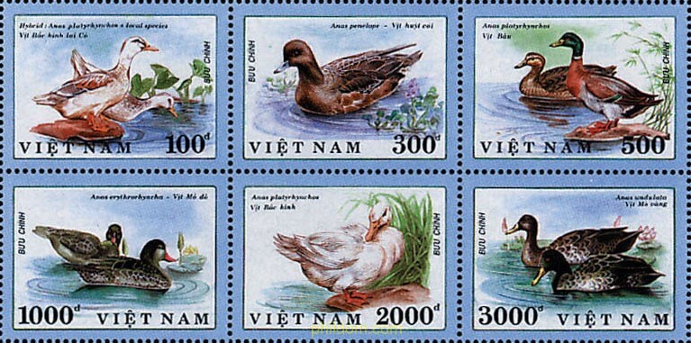 PATOS