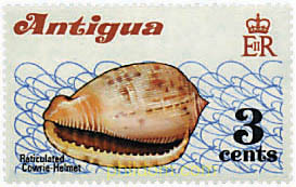 CONCHAS