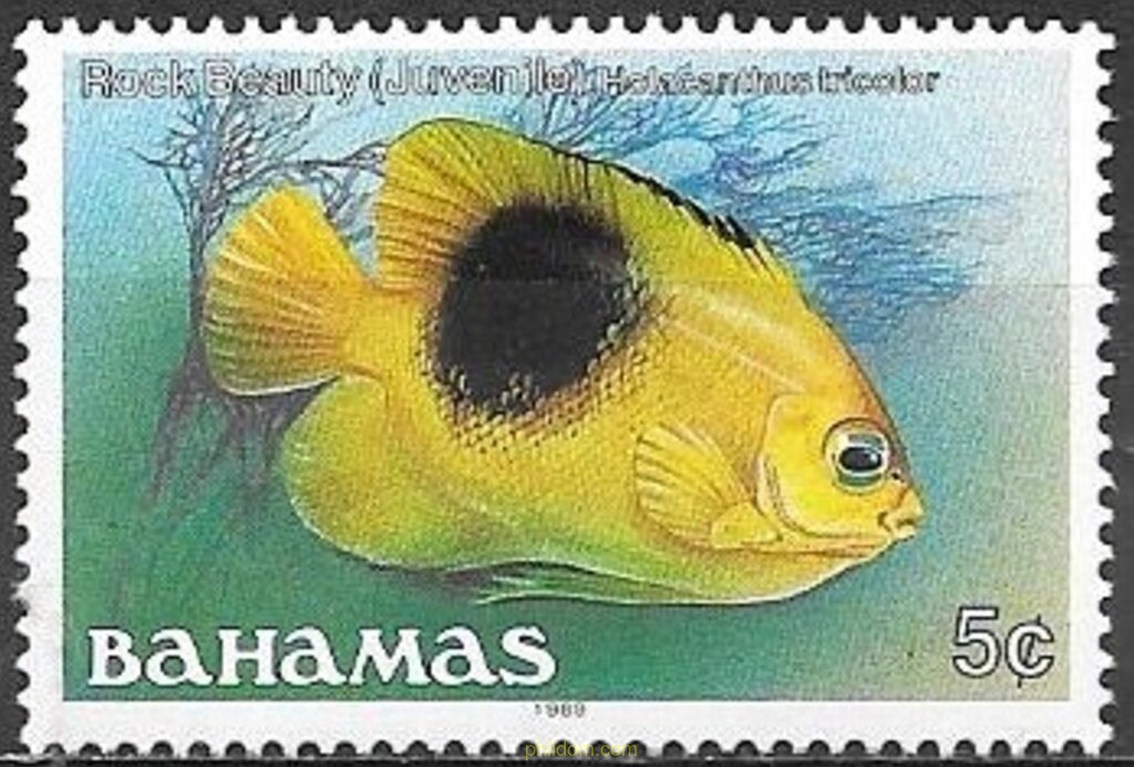 PECES