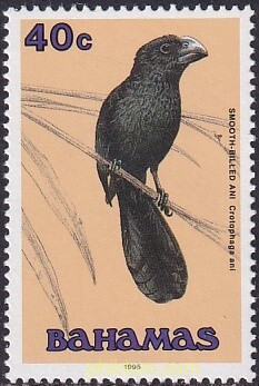 PAJARO