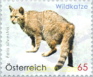 FAUNA SALVAJE