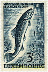 CAMPEONATO DEL MUNDO DE PESCA