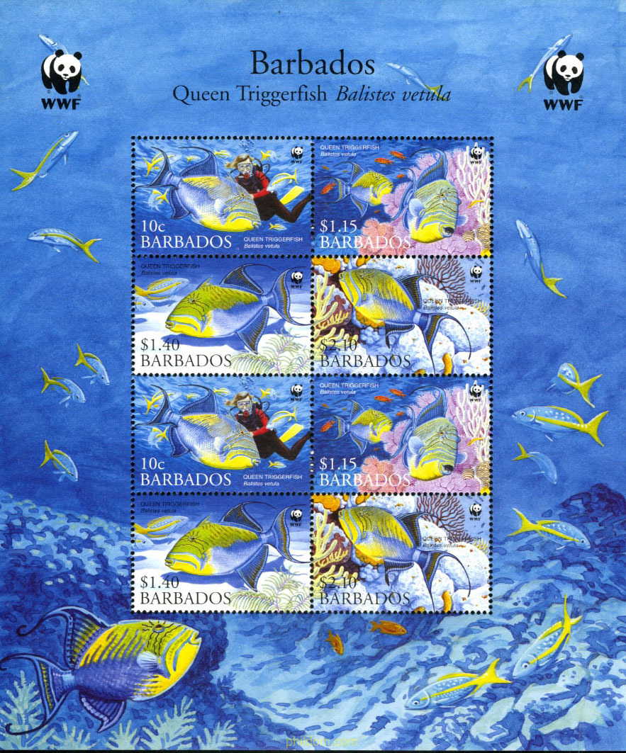 PROTECCION DE LA FAUNA