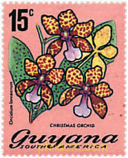 FLORES