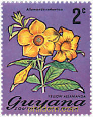 FLORES