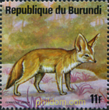 FAUNA AFRICANA