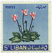 FLORES