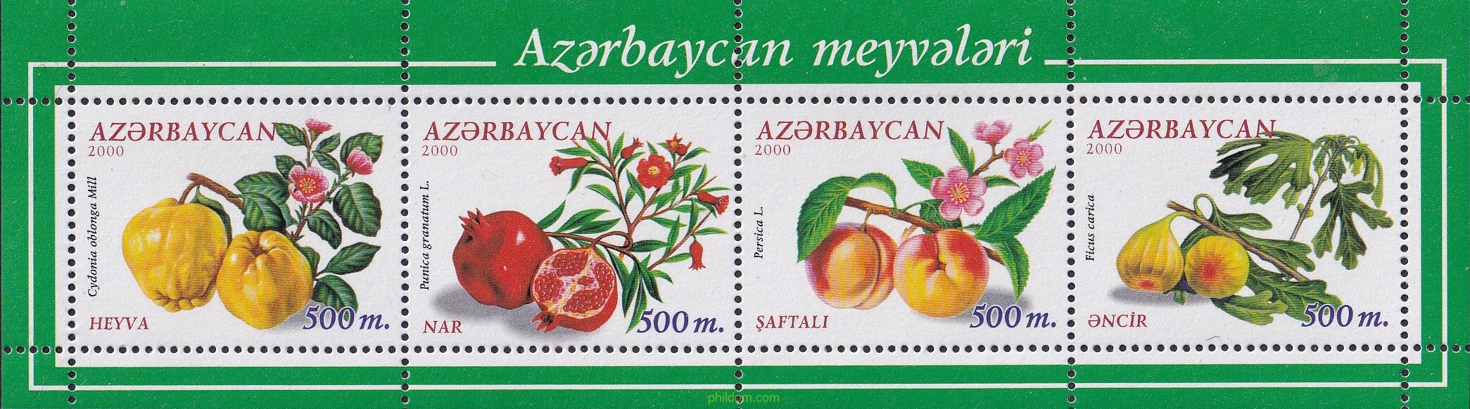 FRUTAS