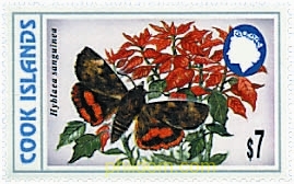 MARIPOSAS
