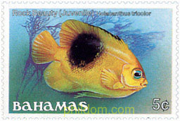 PECES