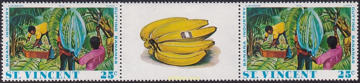 INDUSTRIA DEL PLATANO