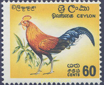AVES DE CEILAN
