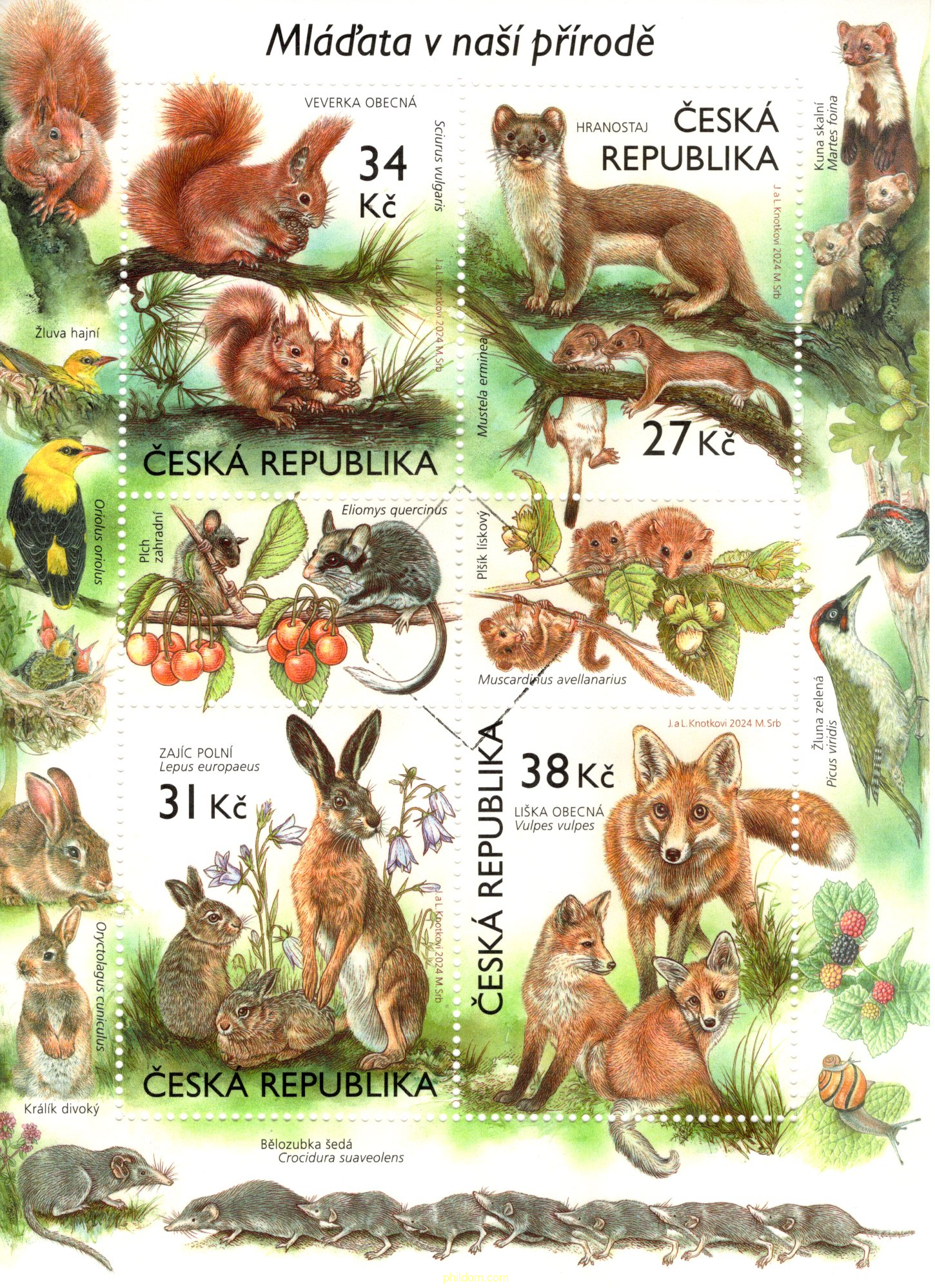 FAUNA Y FLORA