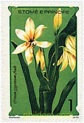 FLORES