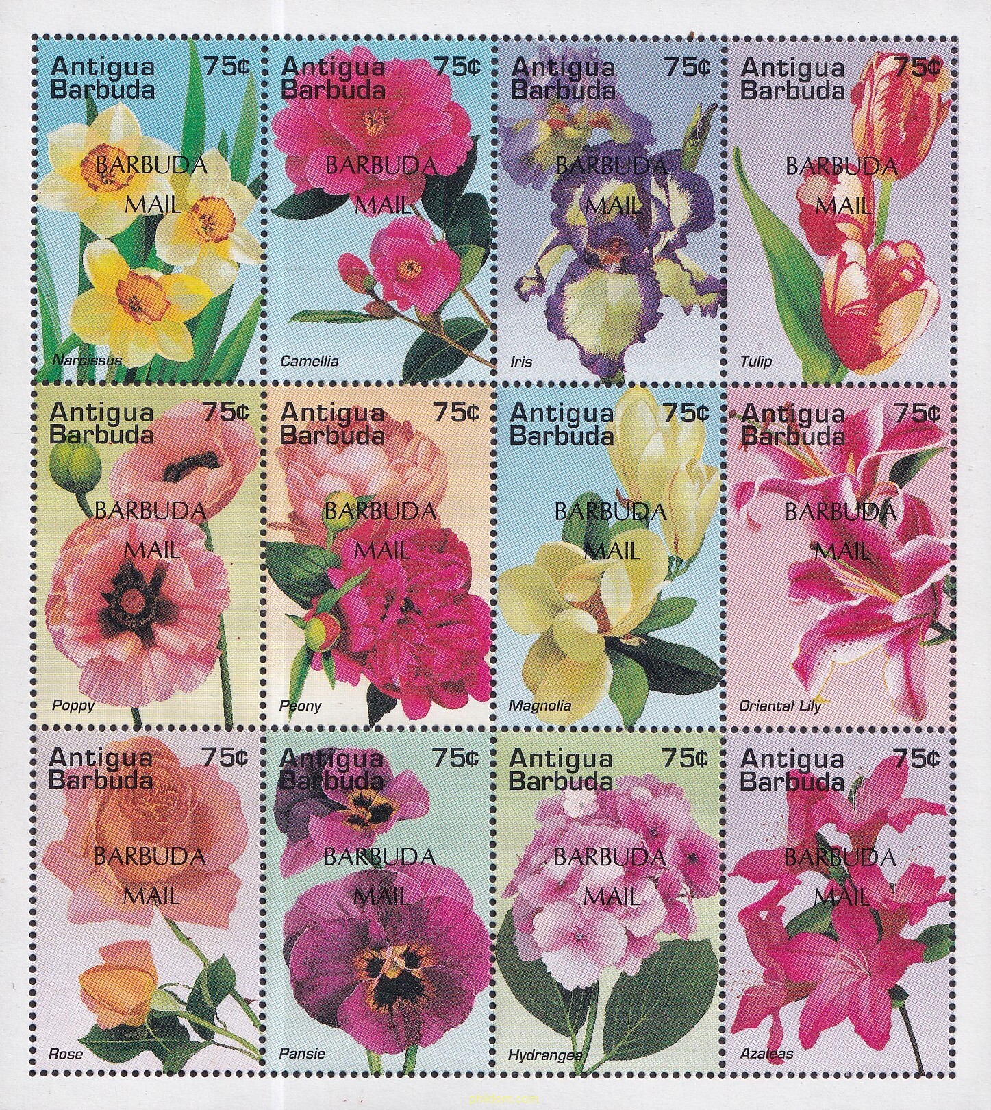 FLORES