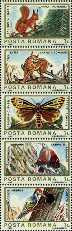 FAUNA Y FLORA EUROPEA