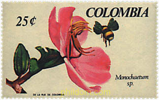 1 EXPOSICION NACIONAL DE ORQUIDEAS EN MEDELLIN