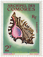CONCHAS