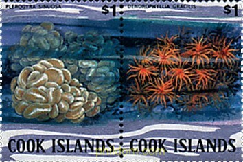 CORALES DE LAS ISLAS DEL PACIFICO