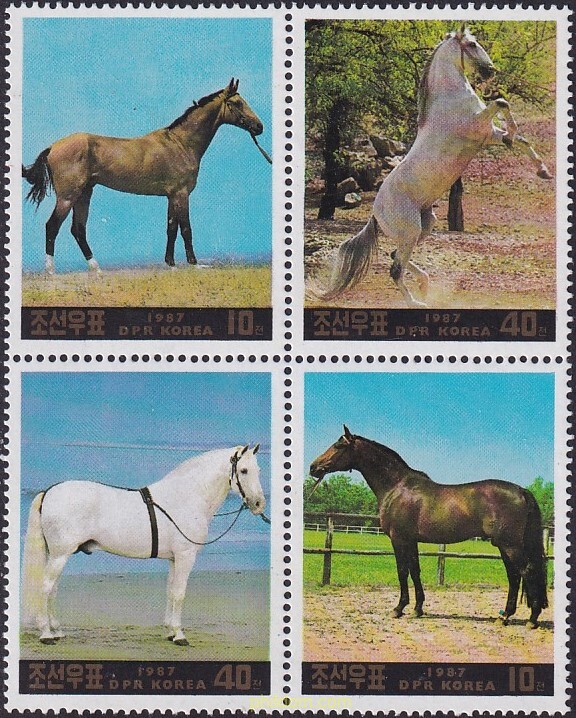 CABALLOS
