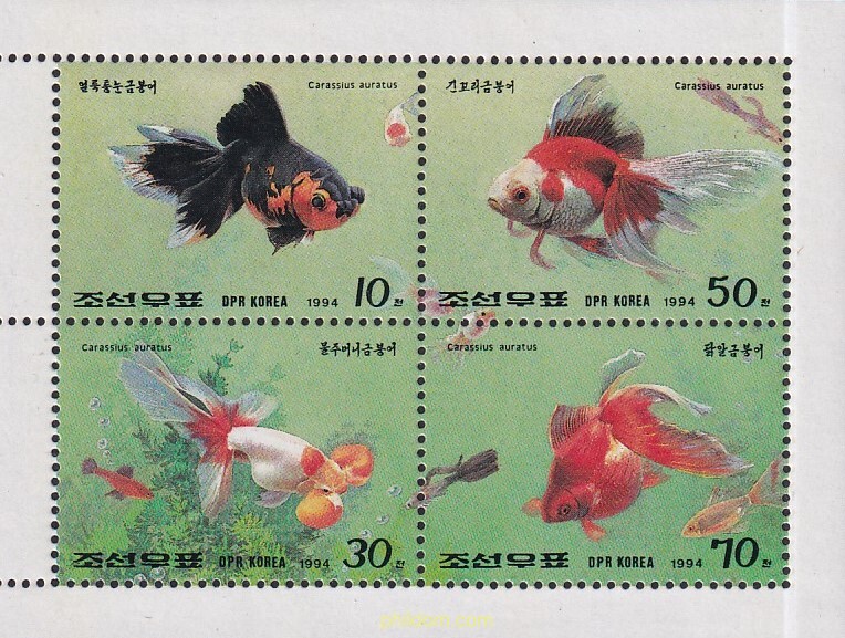PECES ROJOS