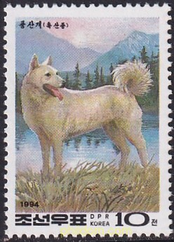 AÑO LUNAR CHINO - AÑO DEL PERRO