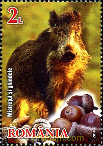 FAUNA