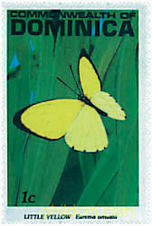 MARIPOSAS