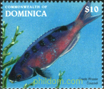 DIA DEL SELLO. PECES