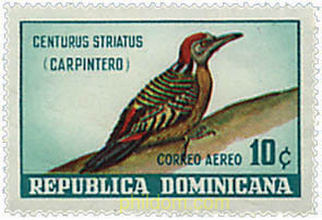 AVES