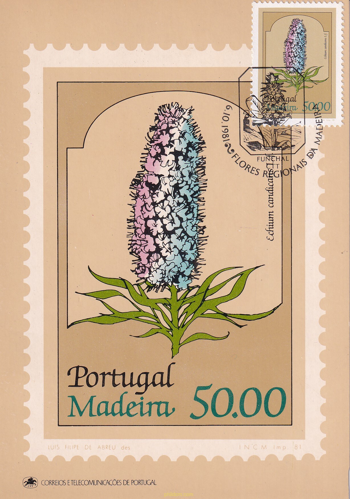 FLORES REGIONALES