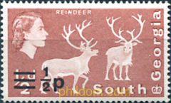 FAUNA