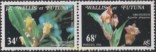ORQUIDEAS
