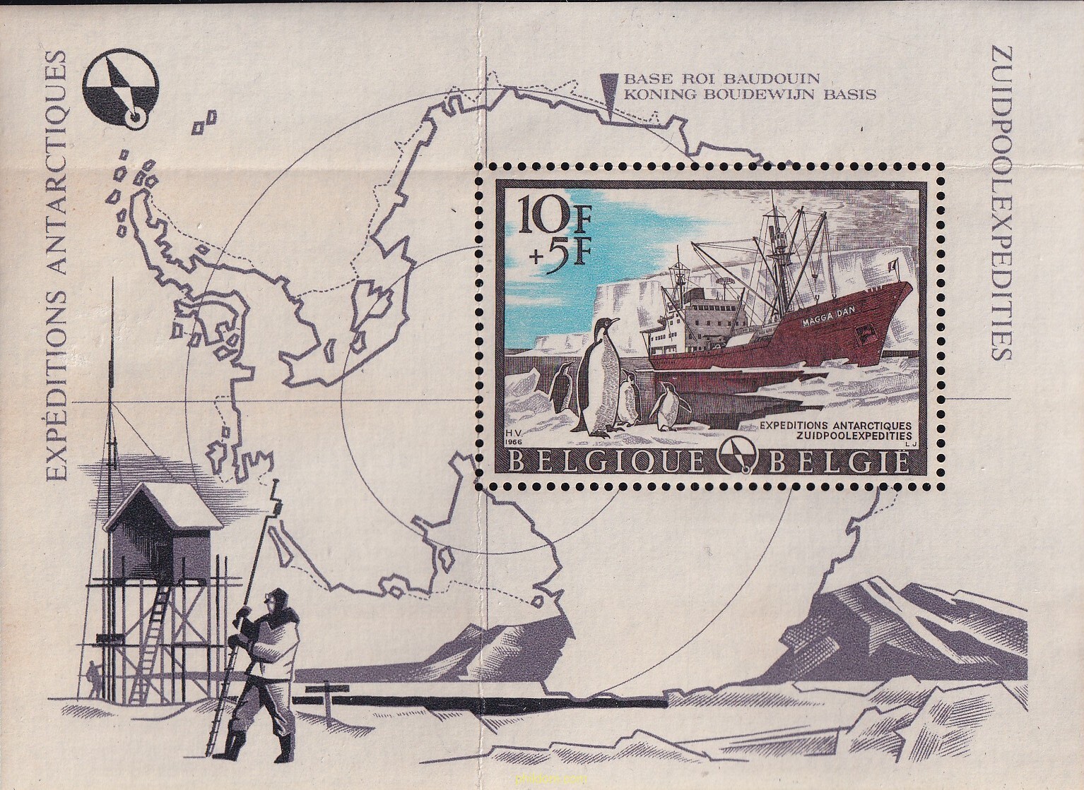 EXPEDICIONES ANTARTICAS