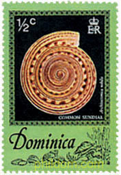 CONCHAS
