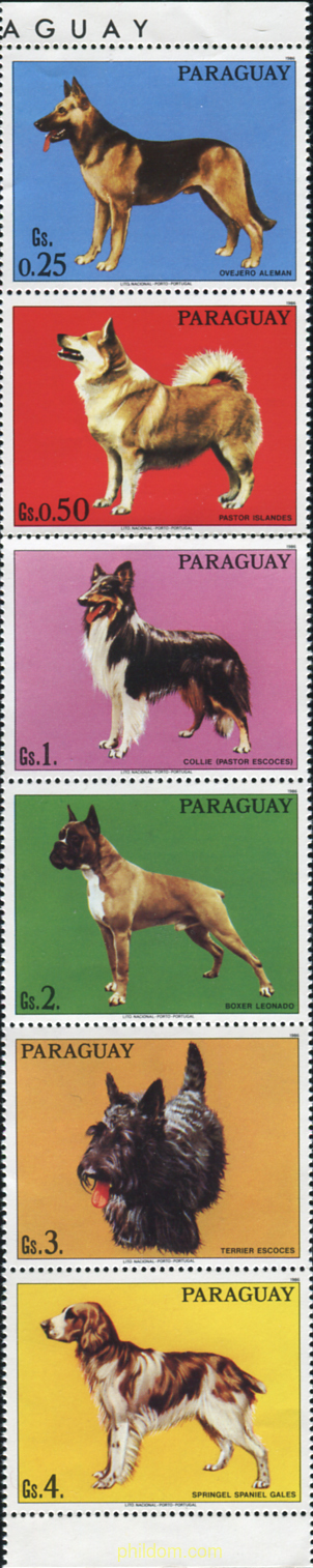 PERROS DE RAZA
