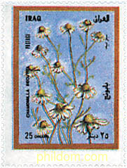 FLORES