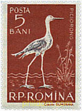 FAUNA DEL DELTA DEL DANUBIO