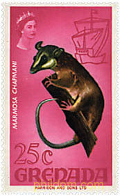 FAUNA Y FLORA