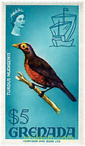 FAUNA Y FLORA
