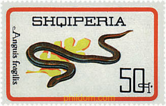 REPTILES Y TORTUGAS