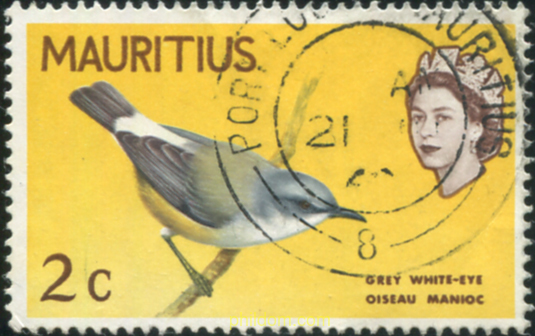 AVES