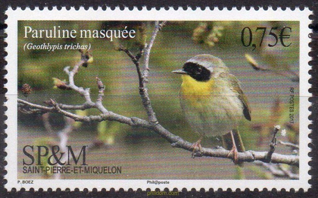 FAUNA - AVES